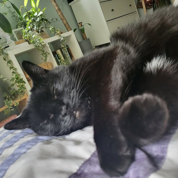 Meet your Posher, Jessica - Picture 1 of 1